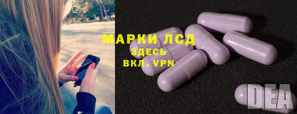 прущие грибы Балабаново