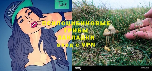 амф Балахна