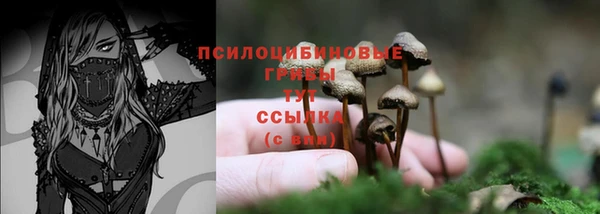 прущие грибы Балабаново