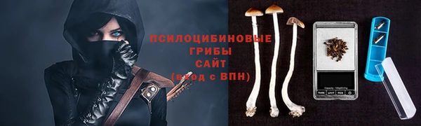 каннабис Арсеньев