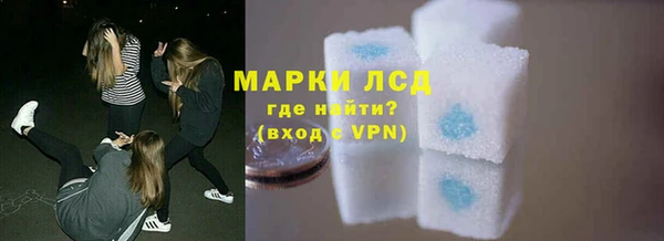 прущие грибы Балабаново