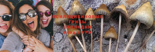 спиды Баксан