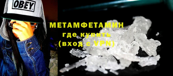 прущие грибы Балабаново